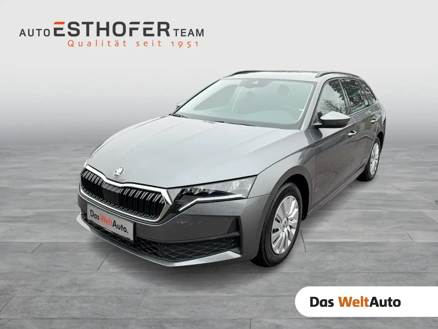 Skoda Octavia Essence TDI Grau - 1