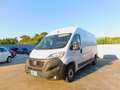 Fiat Ducato 35 2.2 Mjt 140CV PLM-TM Furgone Maxi Bianco - thumbnail 13