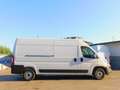Fiat Ducato 35 2.2 Mjt 140CV PLM-TM Furgone Maxi Bianco - thumbnail 2