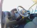 Fiat Ducato 35 2.2 Mjt 140CV PLM-TM Furgone Maxi Bianco - thumbnail 8