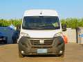 Fiat Ducato 35 2.2 Mjt 140CV PLM-TM Furgone Maxi Bianco - thumbnail 4