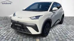 Byd DOLPHIN SURF Sofort Lieferbar Boost Alu Link NAV NBA PDC RFK SH