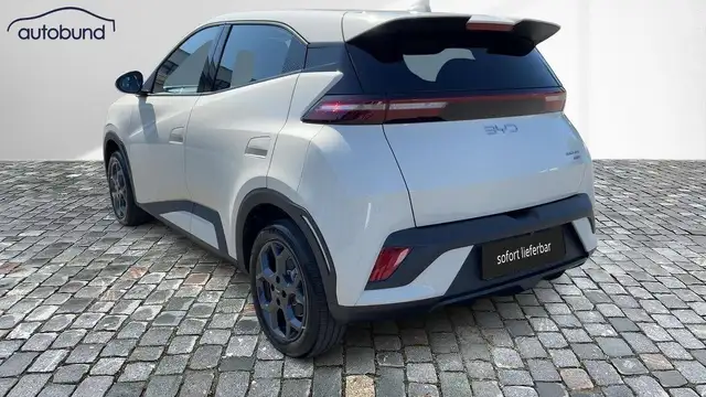Byd Dolphin Surf view 2