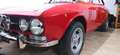 Alfa Romeo 1750 GT 1750 quadrifoglio oro - thumbnail 3
