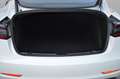 Tesla Model 3 Model 3 Long Range AWD 75kWh Anhängekupplung - thumbnail 9