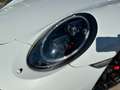 Porsche 991 Targa 4 GTS SPORT CHRONO,CARBON,BOSE Weiß - thumbnail 11