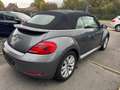 Volkswagen Beetle Beetle Cabriolet 1.6 CR TDi Design Grau - thumbnail 4