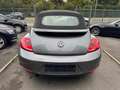 Volkswagen Beetle Beetle Cabriolet 1.6 CR TDi Design Grau - thumbnail 5