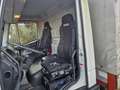 Iveco ML80E18/P Weiß - thumbnail 13