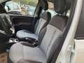 Fiat Panda Cross 1.3 MJT 95 CV S&S 4x4 Blanc - thumbnail 12