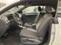Volkswagen T-Roc Cabriolet 1.5 TSI Goal *NAVI*PDC*LED* Weiß - thumbnail 11