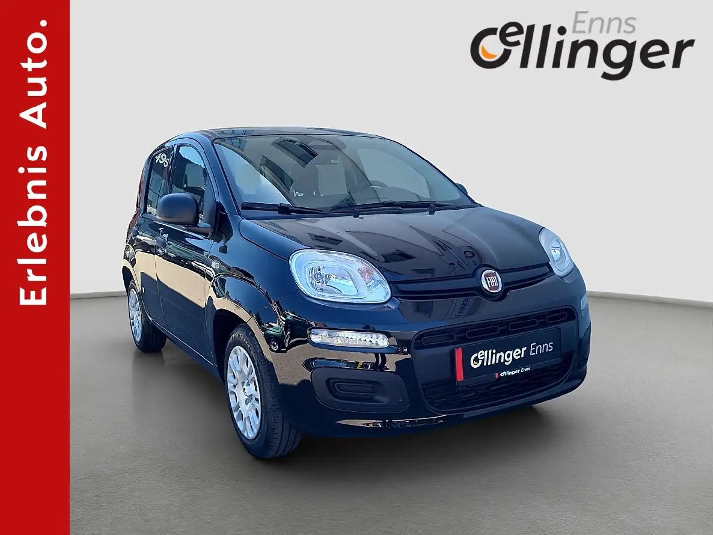 Fiat Panda Schwarz - 1