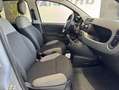 Fiat Panda City Life Hybrid 1.0 Gse 51kw 70CV Azul - thumbnail 10