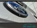Ford Ranger Ranger 2.0 4WD *RaptorPaket*AHK*360° Grigio - thumbnail 10