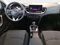 Kia Ceed SW / cee'd SW CEED SW 1.0 T-GDI 48V DCT7 ULTIMATE EDITION STYLE Weiß - thumbnail 8