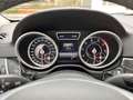 Mercedes-Benz GL 63 AMG GL -Klasse GL 63 AMG 4Matic Srebrny - thumbnail 11
