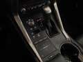 Lexus NX 300 h 2.5 Executive 4wd cvt Red - thumbnail 11