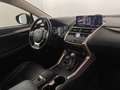 Lexus NX 300 h 2.5 Executive 4wd cvt Червоний - thumbnail 9