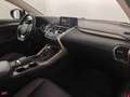 Lexus NX 300 h 2.5 Executive 4wd cvt Red - thumbnail 10