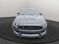 Shelby GT SHELBY GT350 Grau - thumbnail 8