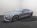 Shelby GT SHELBY GT350 Grau - thumbnail 1