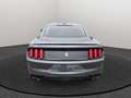 Shelby GT SHELBY GT350 Grau - thumbnail 4