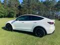 Tesla Model Y Model Y Long Range AWD 79kWh Weiß - thumbnail 3