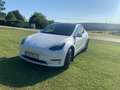Tesla Model Y Model Y Long Range AWD 79kWh Weiß - thumbnail 1