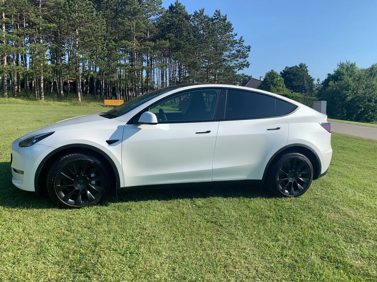 Tesla Model Y Model Y Long Range AWD 79kWh Weiß - 2