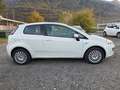 Fiat Punto Evo Punto Evo 1.3 Mjt 75 CV 3 porte Dynamic Blanc - thumbnail 3