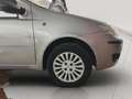 Fiat Punto Punto 1.2i cat 5 porte Verve Grau - thumbnail 21