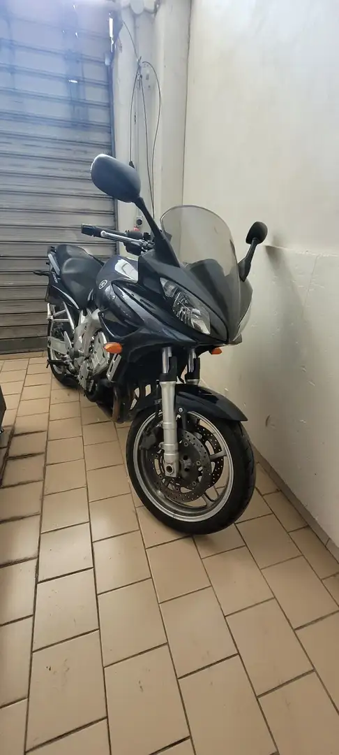 Yamaha FZ 6 Blau - 1