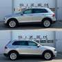 Volkswagen Tiguan 2,0 TDI SCR 4Motion Sky DSG|VIRTUAL-COCKPIT|PAN... Grau - thumbnail 7