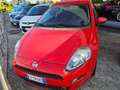 Fiat Punto 1.4 5 porte Van Easy 4 posti Rouge - thumbnail 10