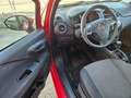 Fiat Punto 1.4 5 porte Van Easy 4 posti Rouge - thumbnail 8