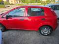 Fiat Punto 1.4 5 porte Van Easy 4 posti Rouge - thumbnail 4