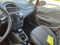 Fiat Punto 1.4 5 porte Van Easy 4 posti Rouge - thumbnail 7