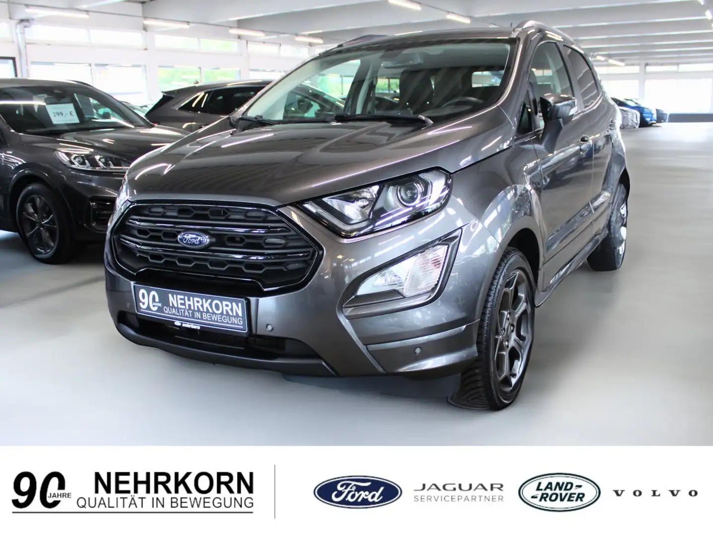 Ford EcoSport ST-LINE Schiebedach WinterPaket CAM NAVI XENON Gris - 1
