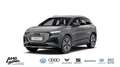 Audi e-tron Grau - thumbnail 1