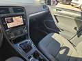 Volkswagen Golf Variant 1.6 TDI 115 CV Executive BlueMotion Technology Grigio - thumbnail 10
