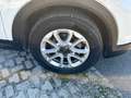 Fiat 500X 1.0 T3 120cv MT E6D Urban Bianco - thumbnail 7