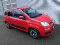Fiat Panda Easy original erst unglaubliche 1.000 Km. Rouge - thumbnail 9