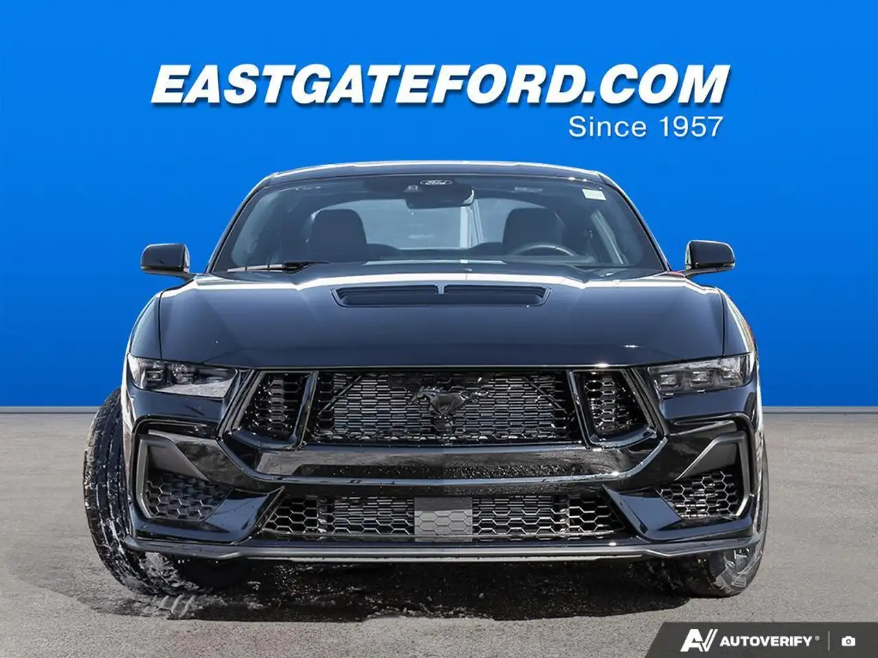 Ford Mustang снимка Ford Mustang