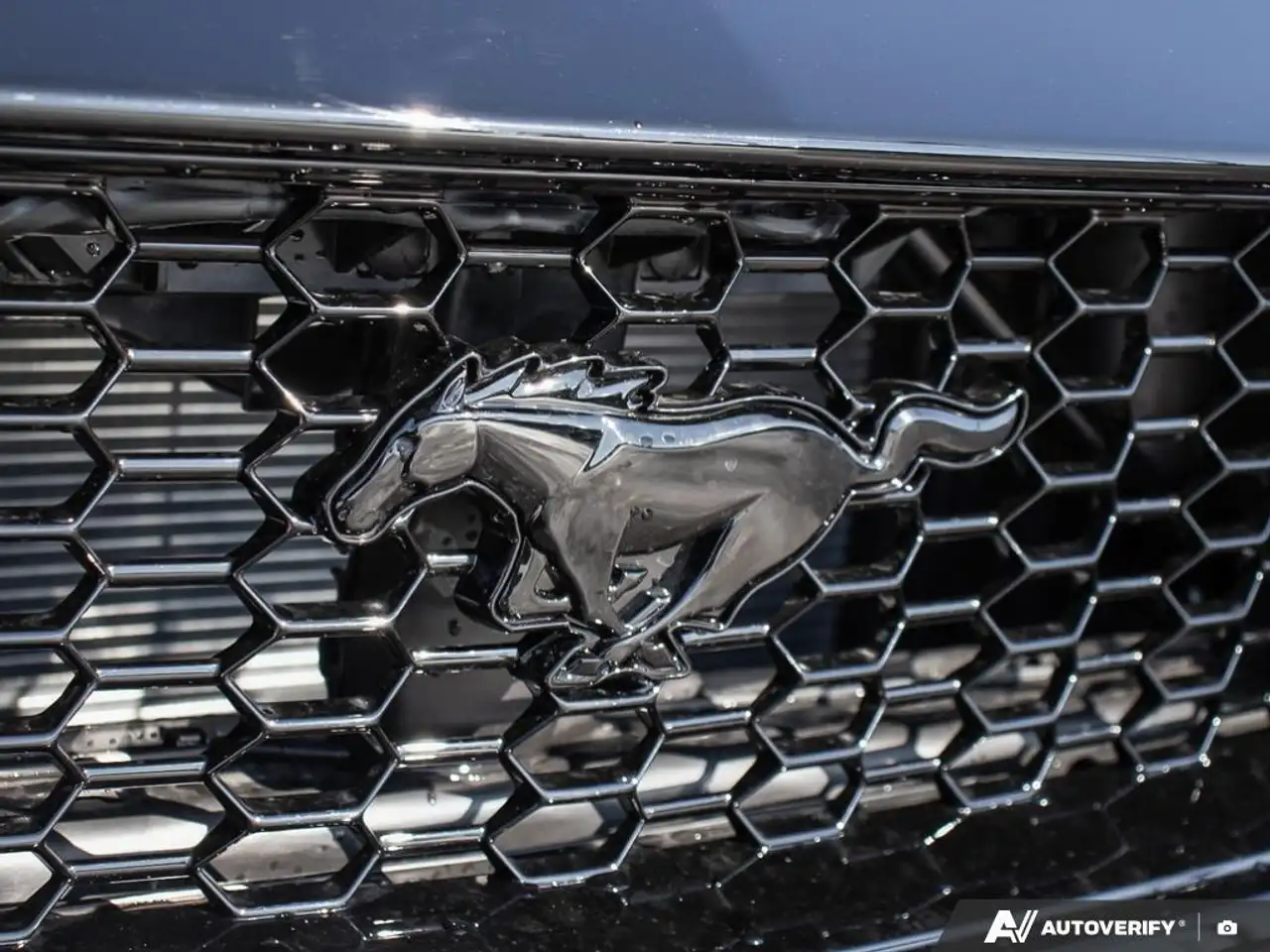 Ford Mustang снимка Ford Mustang