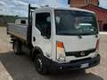 Nissan Cabstar Bianco - thumbnail 3