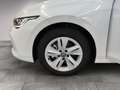 Volkswagen Golf Life 1.5 TSI AHK/LED/Navi/Standhzg/02.30Gar Weiß - thumbnail 16