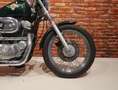 Harley-Davidson Sportster 883 XLH Hugger Zelená - thumbnail 3