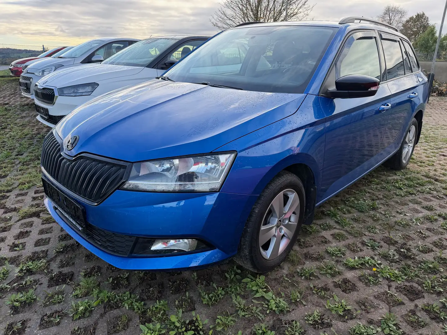 Skoda Fabia Blau - 2