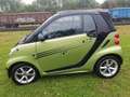 smart forTwo smart fortwo cabrio micro hybrid pure pure Grün - thumbnail 16