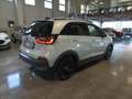 Honda Jazz Jazz 1.5 Hev Crosstar eCVT Executive Bianco - thumbnail 5